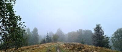 Lubomierz ↔ Pod Kudłoniem, granica parku narodowego [Czarny szlak na Kudłoń z Lubomierza w okolicy Kiełbaśnej (955 m n.p.m.)]