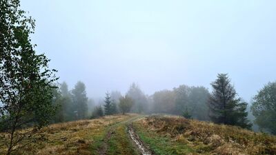 Czarny szlak na Kudłoń z Lubomierza w okolicy Kiełbaśnej (955 m n.p.m.)