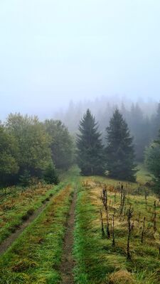 Czarny szlak na Kudłoń z Lubomierza