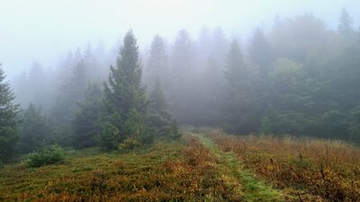 Mglisty zzarny szlak na Kudłoń z Lubomierza