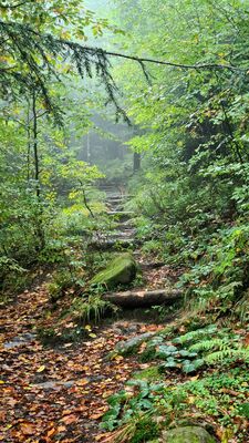 Schodki na czarnym szlaku na Kudłoń z Lubomierza