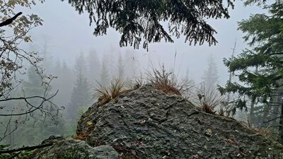 Jeden z ostańców pod Kudłoniem