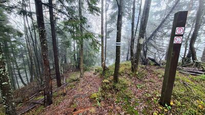 Czarny szlak tuż przez szczytem Kudłoń