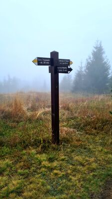 Rozejście szlaków na Polanie Pustak