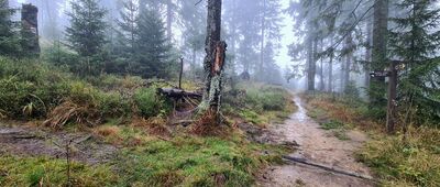 Kudłoń, rozejście szlaków [Rozejście szlaków pod Kudłoniem]