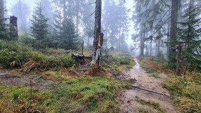 Rozejście szlaków pod Kudłoniem