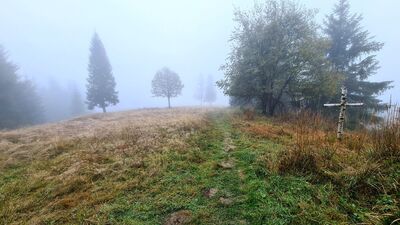 Polana Gorc Troszacki