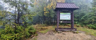 Gorc Troszacki [Gorc Troszacki 1235 m n.p.m.]