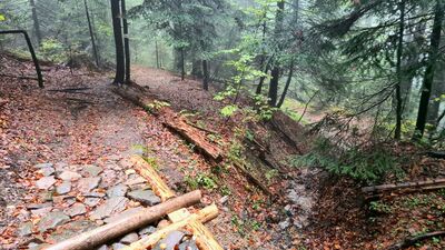 Żółty szlak z Gorca Torszackiego w kierunku Lubomierz-Rzeki