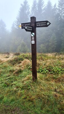 Drogowskaz na Polanie Podskały