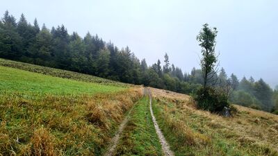 Żółty szlak z Lubomierz-Rzeki na Jasień