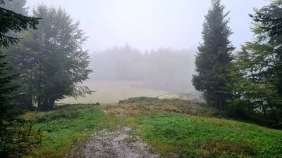 Żółty szlak z Przysłopka na Jasień