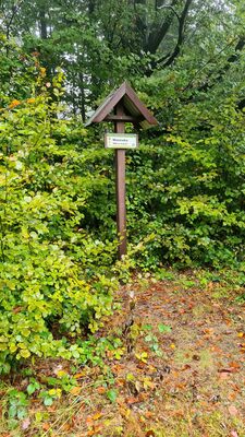 Miznówka 968 m n.p.m.