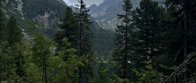 Odbočka Zimnej cesty na Štrbské Pleso ↔ Popradské pleso, rázcestie