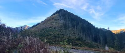 Starorobociańska Dolina [Widok na Wielki Kopieniec z rozejścia szlaków przy wylocie Dolinie Starobociańskiej. W oddali Starobociański Wierch.]