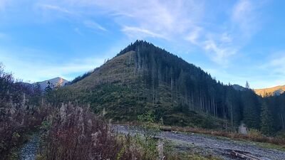 Widok na Wielki Kopieniec z rozejścia szlaków przy wylocie Dolinie Starorobociańskiej. W oddali Starorobociański Wierch.