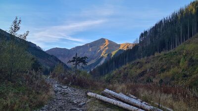 Widok na oświetlony porannym słońcem Starorobociański Wierch