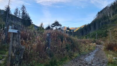 Rozejście szlaków w Dolinie Starobociańskiej