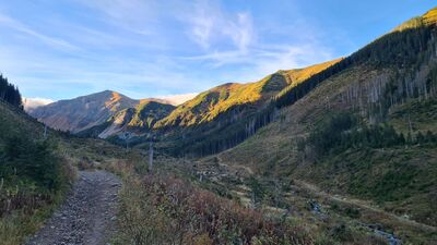 Starobociańska Dolina