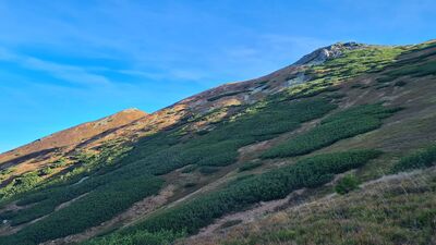 Grań Ornaku widziana z czarnego szlaku pod Kotłowym Siodłem