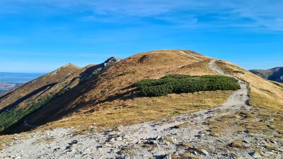 Widok z Siwej Przełęczy przez Kotłową Czubkę na grań Ornaku