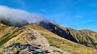 Widok z Siwej Przełęczy przez Siwy Zwornik na Starorobociański Wierch