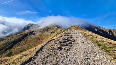 Widok z Siwej Przełęczy przez Siwy Zwornik na Starorobociański Wierch