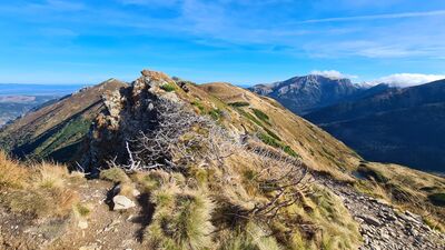 Widok w kierunku Krzesanicy (za chmurą) z zielonego szlaku pod Siwym Zwornikiem