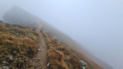 Czerwony szlak na Liliowych Turniach