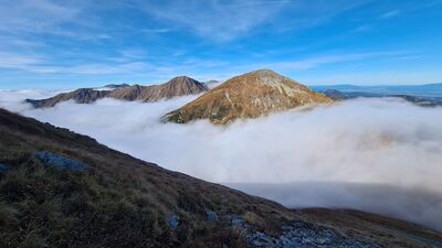 W drodze na Bystrą (niebieski szlak). Od prawej: Starorobociański Wierch, Jakubina, Wyżnia Magura i Ostredok