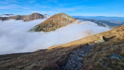 W drodze na Bystrą (niebieski szlak) - Starorobociański Wierch