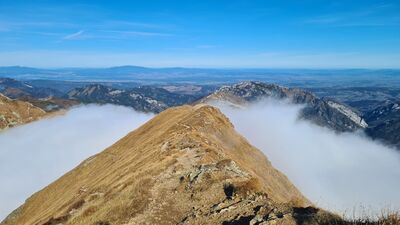 Ostatnia prosta na Bystrą. Widok w kierunku Błyszcza