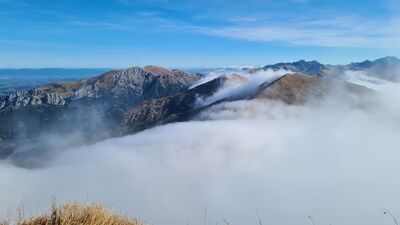 Widok spod szczytu Bystrej przez Kamienistą i Smreczyński Wierch na Ciemniak, Krzesanicę i Małołączniak. W oddali Świnica, a po prawej Jagnięcy Szczyt, Kołowy Szczyt i Lodowy Szczyt.
