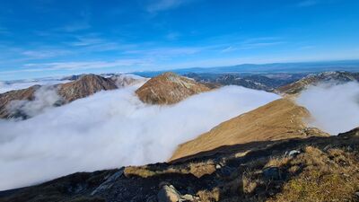 Ostatnia prosta na Bystrą. Widok w kierunku Starobociańskiego Wierchu.
