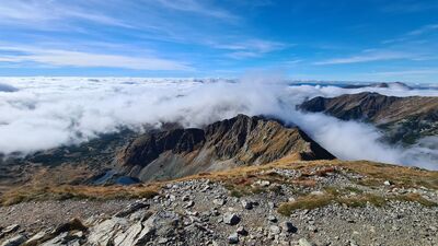 Widok z Bystrej w kierunku Zadniej Kopy