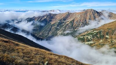 Dolina Gaborowa z niebieskiego szlaku pod Bystrą