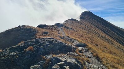 Przebieg ścieżki między Błyszczem a Bystrą