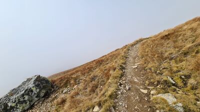 Czerwony szlak w rejonie Banistej Przełączki