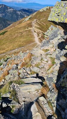 Szlak na Zadnim Ornaku w kierunku Ornaka