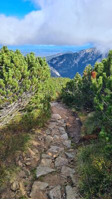 Zejście zielonym szlakiem z Ornaku w kierunku Iwanickiej Przełęczy