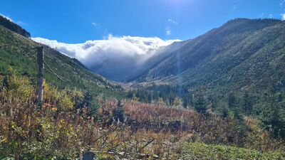 Widok z Polany Iwanówki w kierunku Starobociańskiego Wierchu pochłoniętego przez chmury