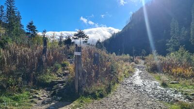 Rozejście szlaków na Polanie Iwanówce