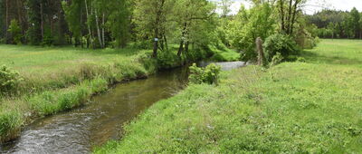 Brzeziny ↔ Zalew Lipowica [Rzeka Bobrza z mostu między Radkowicami a Brzezinami]