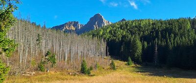 Rozejście szlaków ↔ Przełęcz w Grzybowcu [Giewont widziany z Małej Polanki]