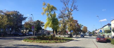 Opole Lubelskie ↔ Opole Lubelskie, kościół Wniebowzięcia NMP [Rynek w Opolu Lub.]