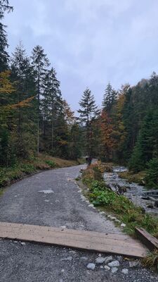 Czerwony szlak w Dolinie Strążyskiej