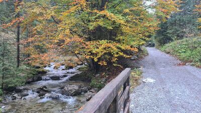Czerwony szlak w Dolinie Strążyskiej
