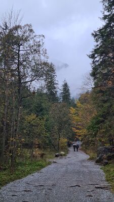 Czerwony szlak w Dolinie Strążyskiej