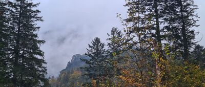 Dolina Strążyska, parking ↔ Polana Strążyska [Czerwony szlak w Dolinie Strążyskiej. Niestety Giewont za chmurami :(]