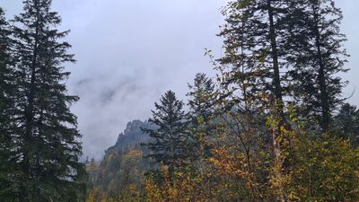 Czerwony szlak w Dolinie Strążyskiej. Niestety Giewont za chmurami :(